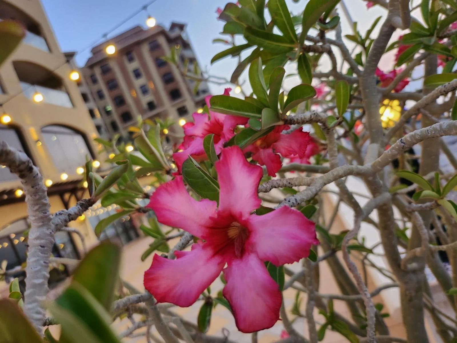 Marjan Island Beautiful Apartment Sea Side View Beach Luxury Rooms Ras Al Khaimah Uae Exterior foto